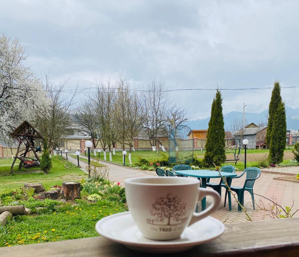 Rodynnyi Zatyshok Guest House Verhovîna Exterior foto